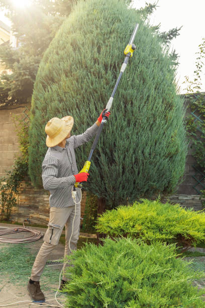 Best Lawn Watering Services  in Thunder Mountain, NM